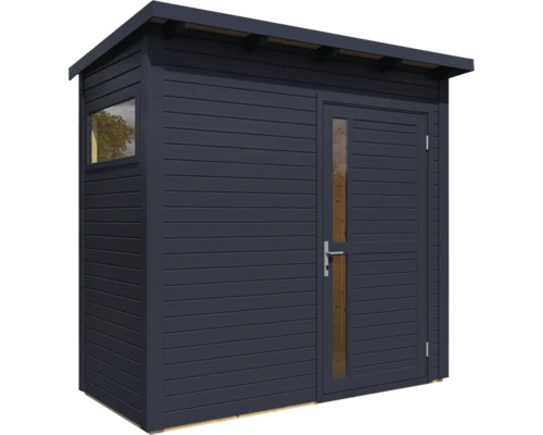 Abri de jardin avec fenêtre et porte