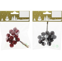 Bouquets de baies décoratives dans leur emballage