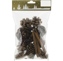 Dekorationsset mit Tannenzapfen, Beeren und Zimtstangen in Plastikverpackung
