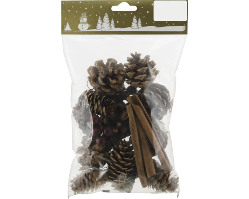 Dekorationsset mit Tannenzapfen, Beeren und Zimtstangen in Plastikverpackung