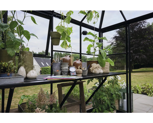 Intérieur de serre avec des plantes, des pots et des accessoires de jardinage sur des étagères