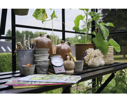 Aménagement d''une serre avec des outils de jardinage, des pots de fleurs et des articles de décoration sur une étagère.