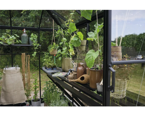 Serre avec plantes, pots et accessoires de jardinage sur des étagères.