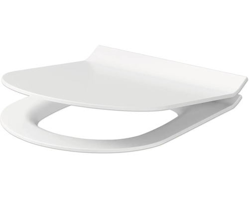 Toilettendeckel aus Kunststoff