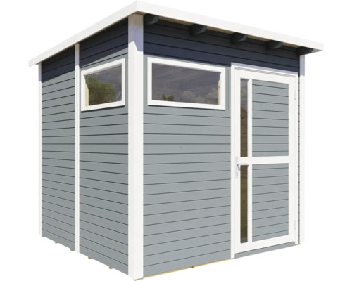 Abri de jardin avec fenêtres et porte