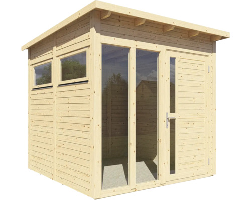 Abri de jardin en bois avec fenêtres et porte