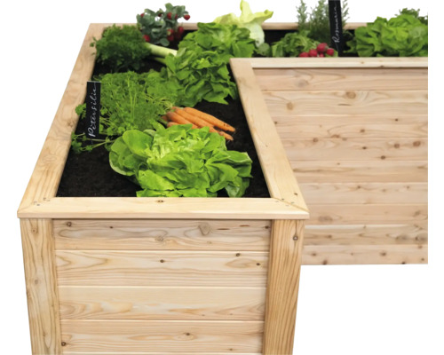 Jardinière surélevée en bois plantée de laitue, carottes, persil et romarin