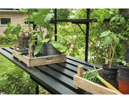Table de jardinage avec plantes, outils et pots dans une serre.