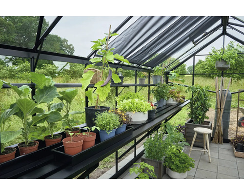 Gewächshaus mit Regalen und verschiedenen Pflanzen in Töpfen und Behältern