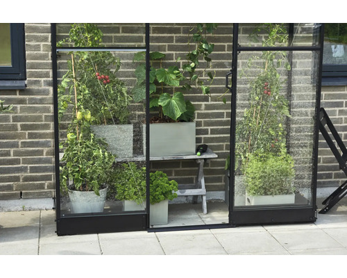 Gewächshaus mit verschiedenen Pflanzen in Töpfen