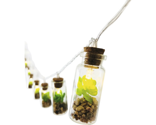 Dekorative Lichterkette mit Pflanzen in kleinen Glasflaschen mit Korken