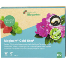 Meginem Cold 10 Quadratmeter zur Bekämpfung von Dickmaulrüsslerlarven bei niedrigen Temperaturen