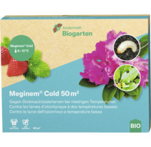 Meginem Cold 50 Quadratmeter Produktverpackung gegen Rüsselkäferlarven
