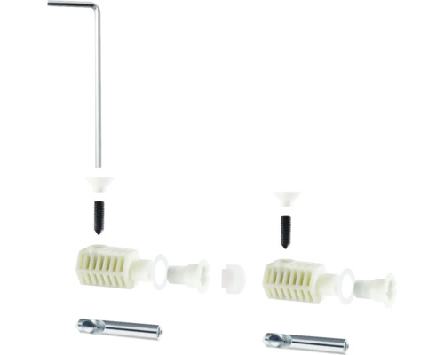 Cheville individuelle avec vis, clé Allen et foret