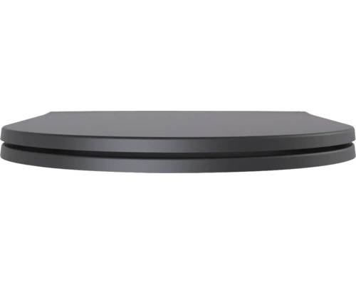 Abattant de WC en duroplast