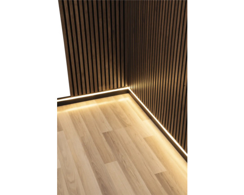 Plinthe pour panneaux acoustiques pour un éclairage indirect avec diffuseur 2000 x 80 x 20 mm Intérieur avec panneaux en bois et éclairage LED au sol