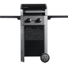 Gasgrill mit zwei Brennern und Seitentischen