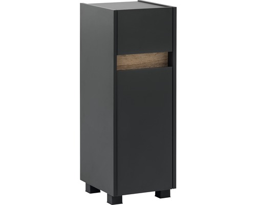 Armoire haute de salle de bains noire avec élément en bois