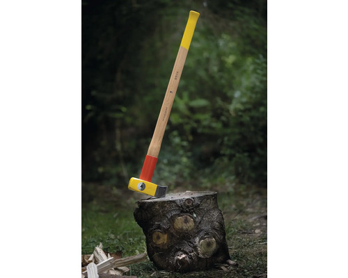 Spalthammer auf einem Baumstumpf