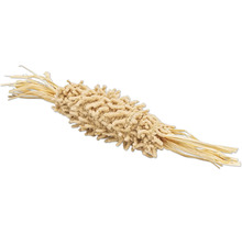 Plante de Lagurus séchée