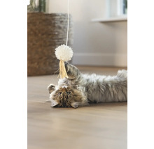 Un chat est allongé sur le dos et joue avec un jouet.