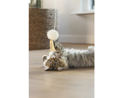 Un chat est allongé sur le dos et joue avec un jouet.