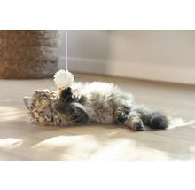 Un chat joue avec une balle jouet au bout d''une ficelle sur le sol.