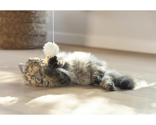 Un chat joue avec une balle jouet au bout d''une ficelle sur le sol.