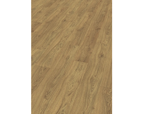 Laminat Nature Sense Asgil Eiche honig Landhausdiele 1292 x 193 x 8 mm Laminat Nature Sense Asgil Eiche honig Landhausdiele 1292 x 193 x 8 mm