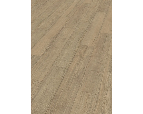 Laminat Nature Sense Elva Eiche natur Landhausdiele 1292 x 193 x 8 mm Laminat Nature Sense Elva Eiche natur Landhausdiele 1292 x 193 x 8 mm