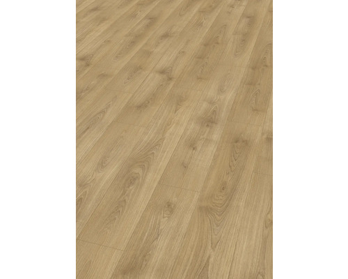 Laminat Nature Sense Nord Eiche hellbraun Landhausdiele 1292 x 193 x 8 mm Laminat Nature Sense Nord Eiche hellbraun Landhausdiele 1292 x 193 x 8 mm