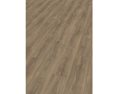 Laminat Nature Sense Newport Eiche braun Landhausdiele 1292 x 193 x 8 mm Laminat Nature Sense Newport Eiche braun Landhausdiele 1292 x 193 x 8 mm