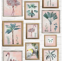 Mur avec des images encadrées de plantes, de flamants roses, d''un toucan et d''un papillon