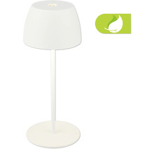 Lampe de table avec abat-jour et symbole de feuille