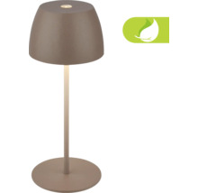Lampe de table décorative avec symbole d''économie d''énergie