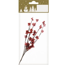 Dekorative rote Beeren-Zweige in Verpackung für saisonale Dekoration