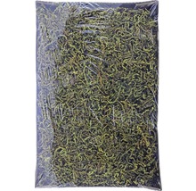 Verpackungseinheit Waldmoos zur Dekoration