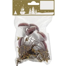 Champignons décoratifs dans un emballage pour décoration de Noël