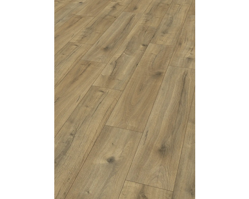 Laminat Nature Sense Loja Eiche braun Landhausdiele 1292 x 246 x 8 mm Laminat Nature Sense Loja Eiche braun Landhausdiele 1292 x 246 x 8 mm