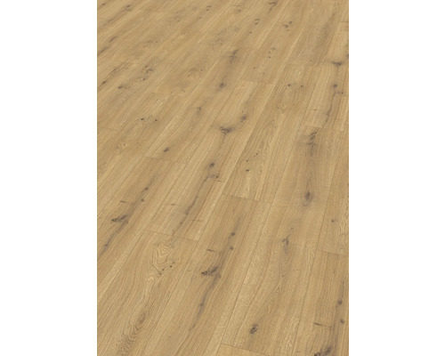 Stratifié Nature Sense Predaia chêne miel plancher maison de campagne 1292 x 193 x 10 mm Stratifié Nature Sense Predaia chêne miel plancher maison de campagne 1292 x 193 x 10 mm