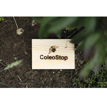 ColeoStop Produkt zur Schädlingsbekämpfung auf einem Beet