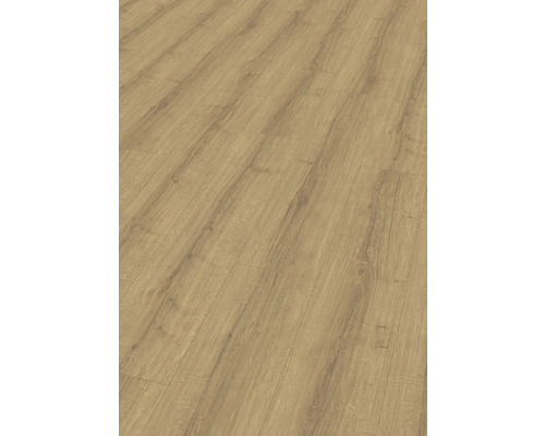 Laminat Nature Sense Sherman Eiche honig Landhausdiele 1292 x 246 x 8 mm Laminat Nature Sense Sherman Eiche honig Landhausdiele 1292 x 246 x 8 mm