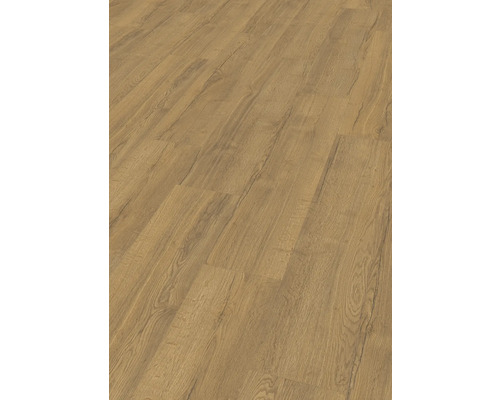Laminat Nature Sense Elva Eiche honig Landhausdiele 1292 x 246 x 8 mm Laminat Nature Sense Elva Eiche honig Landhausdiele 1292 x 246 x 8 mm