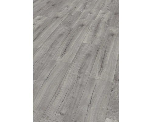 Laminat Nature Sense Loja Eiche hellgrau Landhausdiele 1292 x 246 x 8 mm Laminat Nature Sense Loja Eiche hellgrau Landhausdiele 1292 x 246 x 8 mm