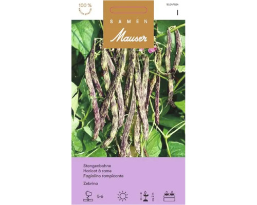 Graines de légumes Samen Mauser haricot à rames Zebrina Paquet de graines de haricots Mauser Zebrina