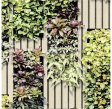 Papier peint décoratif avec motifs de plantes pour décoration murale