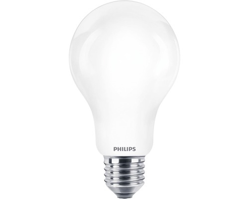 Ampoule LED A67 mate E27/13W(120W) 2000 lm 2700 K blanc chaud