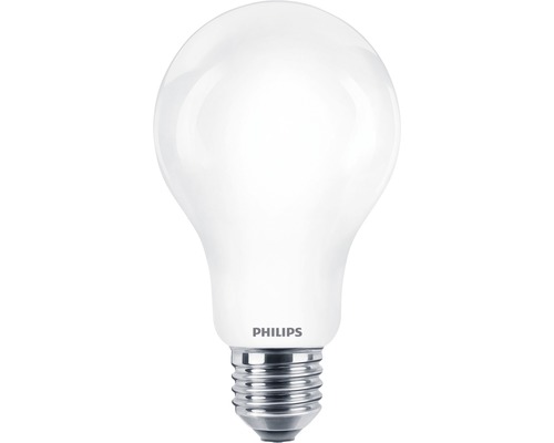 Ampoule LED A67 mate E27/17,5W(150W) 2452 lm 2700 K blanc chaud
