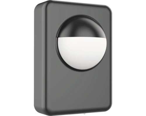 Détecteur de mouvement Playlight 160 ° 3 m noir