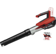 Aspirateur à feuilles sans fil sans batterie ni chargeur